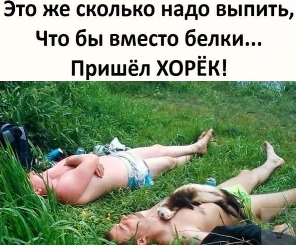 Картинки для деградации 245 (разной степени свежести)