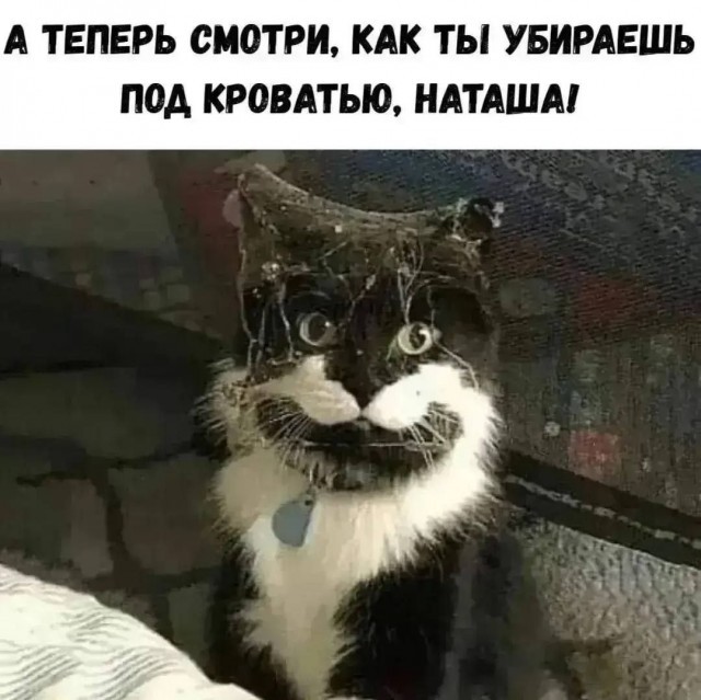 Веселые картинки в понедельник (24.08)