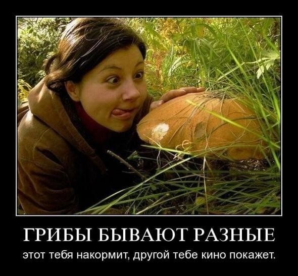 Лимонная кислота⁠