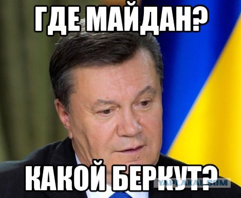 Бойцы украинского "Беркута" просят убежища