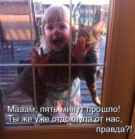 Тема для юмора
