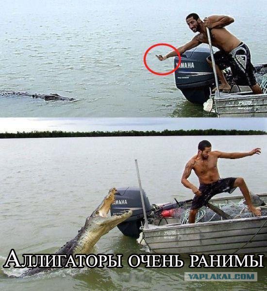 Смешные картинки