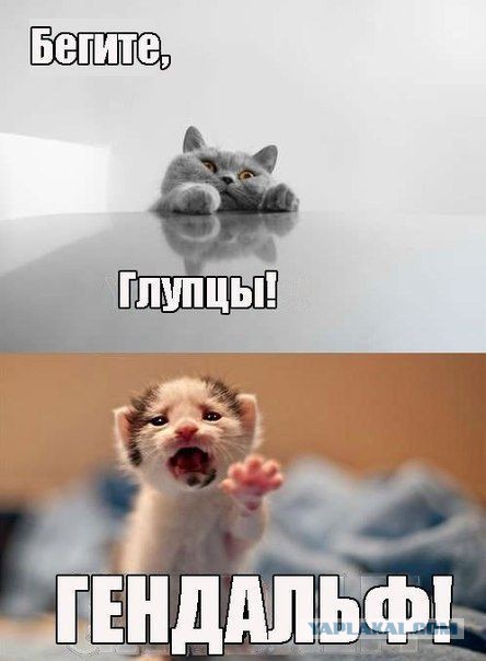 Забавные картинки и комменты из соцсети