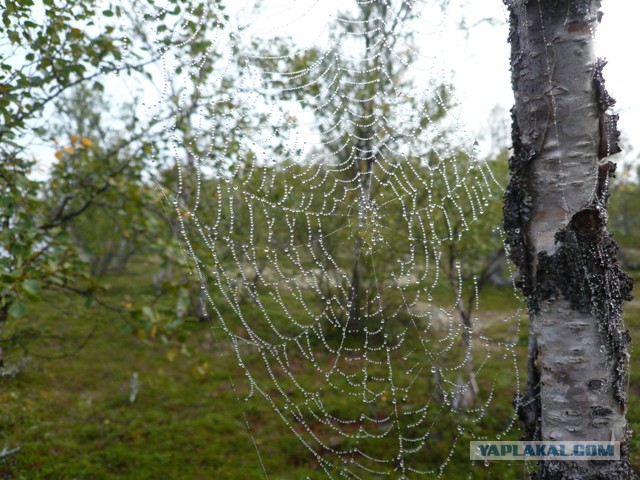 Серебрянское водохранилище.