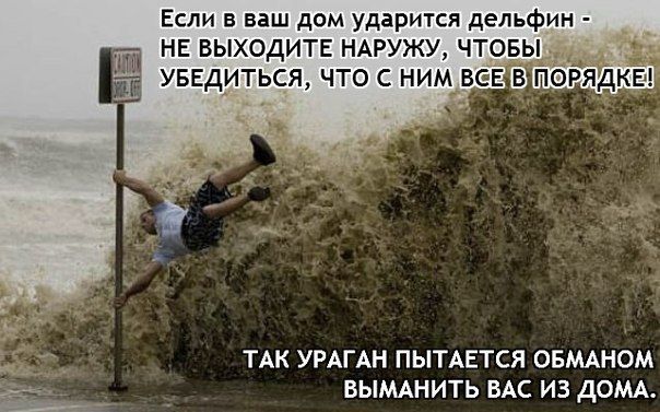Прикольные картинки на понедельник .