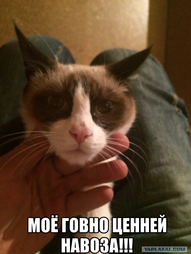 Нужен совет