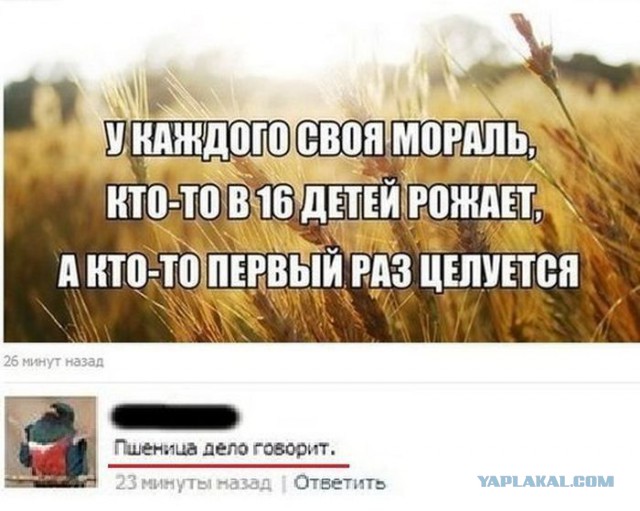 Веселые картинки