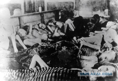 "Уроки патриотизма" в Латвии