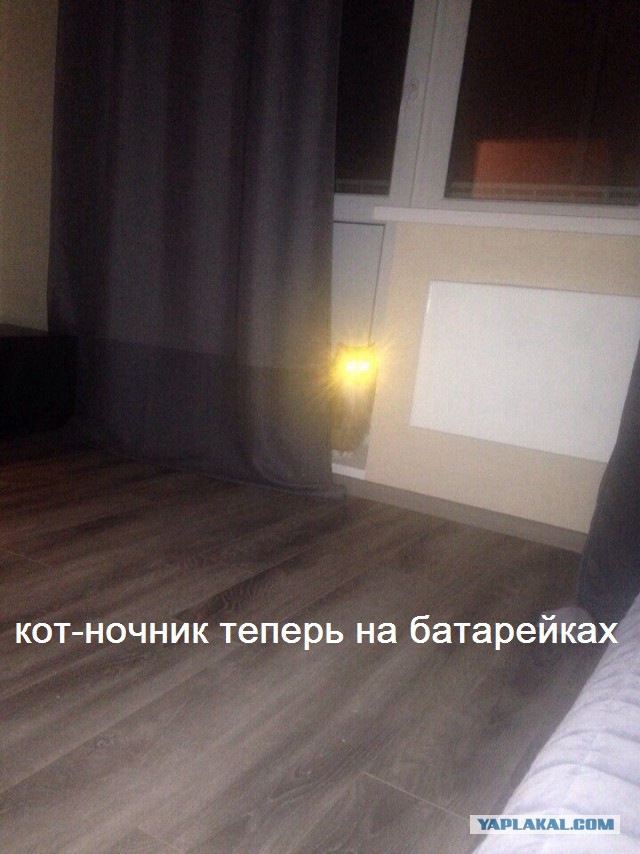 Случайно ночью нашел