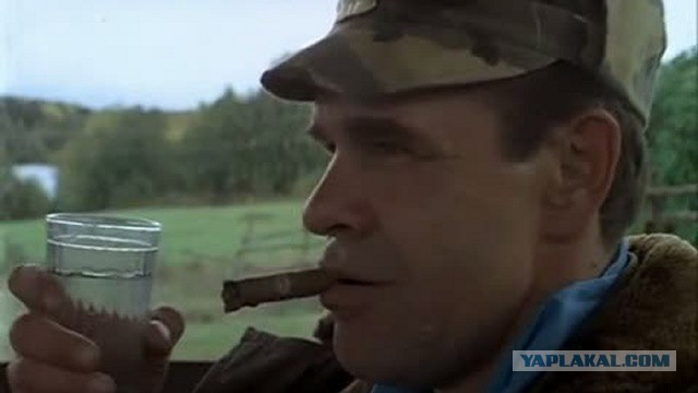 Демократия по-украински.