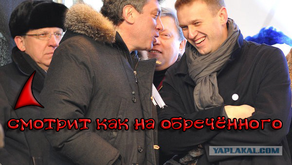 Навальный не хочет выходить из СИЗО