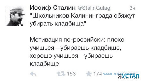 Забавные картинки из сети