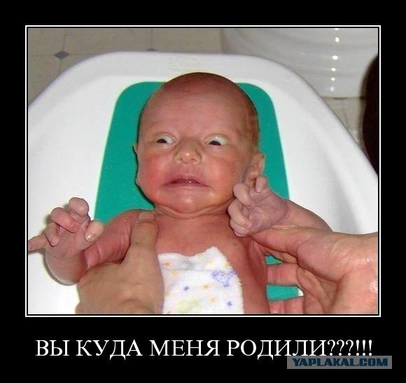 Приколы из сети