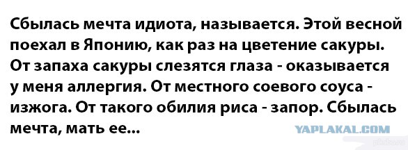 Веселости