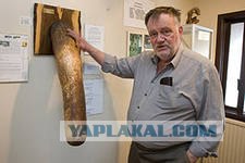 Откуда берутся облака?