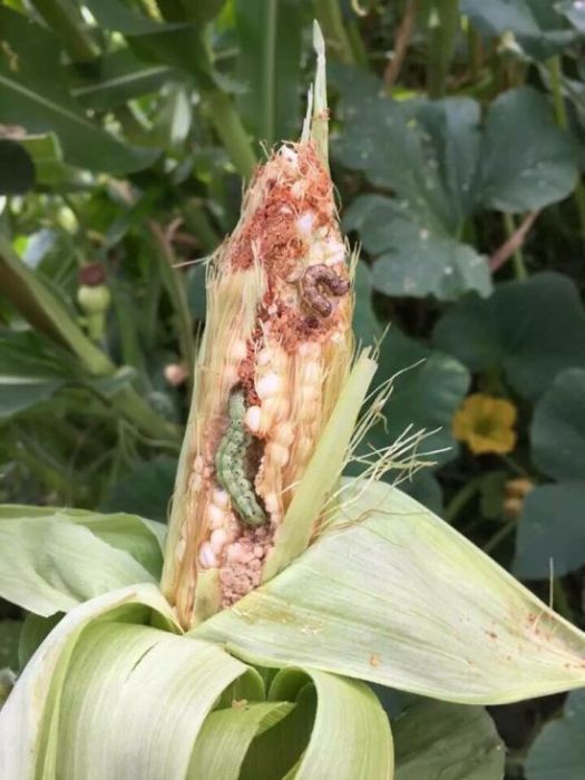 Подборка самых интересных снимков