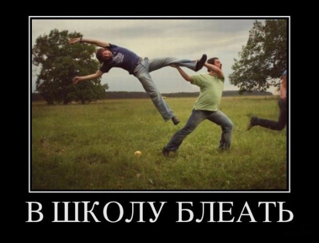 Немного демотиваторов