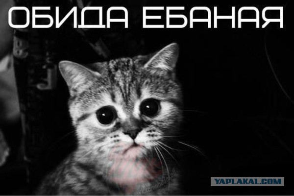 Top_lap обиделся на Яп