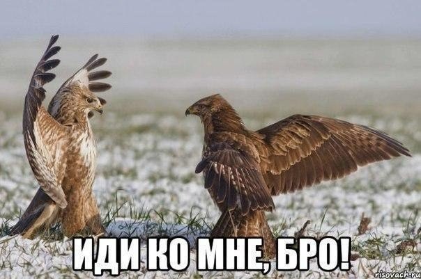 Фотоприколы