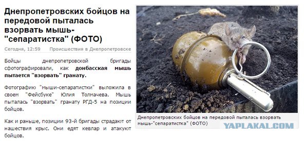 10 политических картинок часть 19