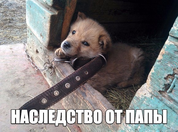 Немного картинок и демотиваторов