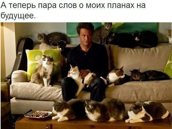 Картинки и демотиваторы