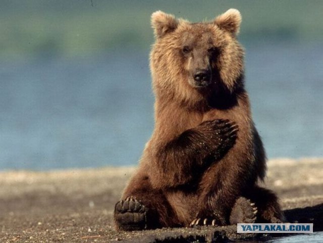 Наряды с выпускного