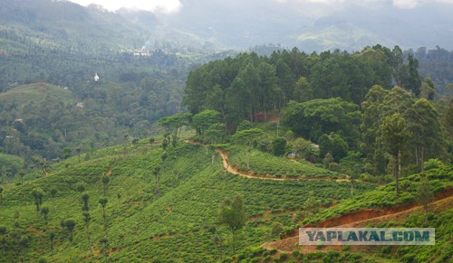 Самостоятельное путешествие в Шри-Ланку