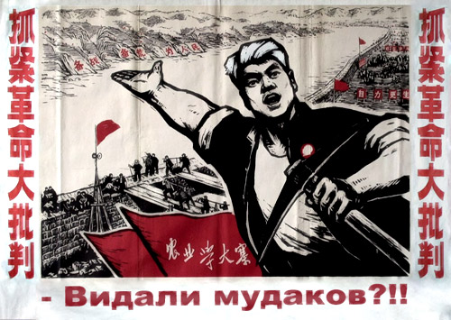 ДИКАЯ АЗИЯ. Китайцы, японцы и т.д.