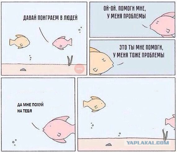 Смешные комментарии из социальных сетей 05.02.2016