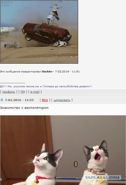 Подборка картинок
