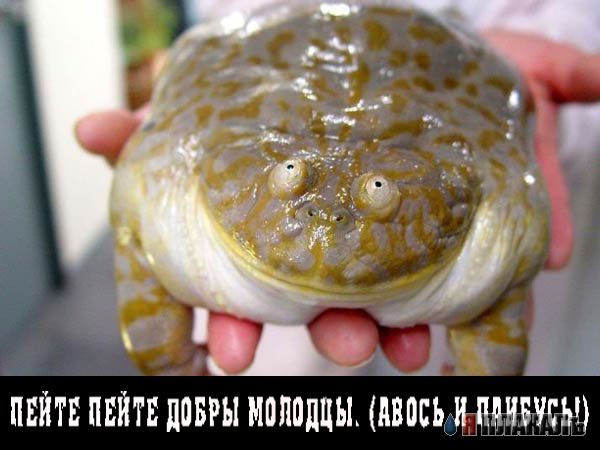 Уже да :) Ужо пятнецца...