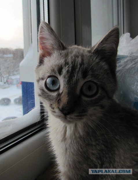 Те, которым мы помогли.