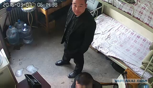 За что я люблю китайцев