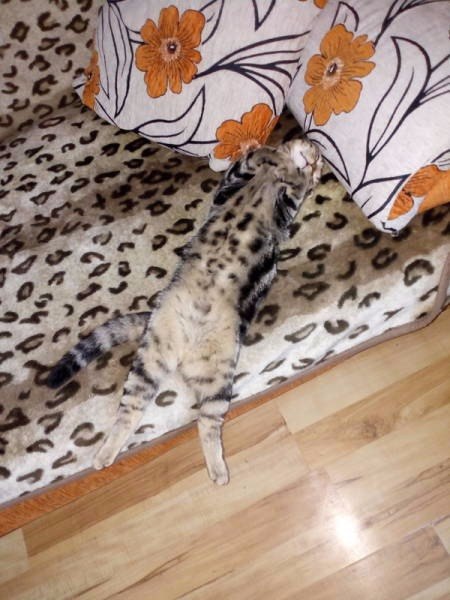 Подборка картинок на среду