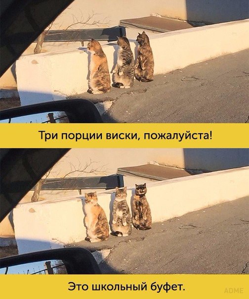 Подборка картинок на среду