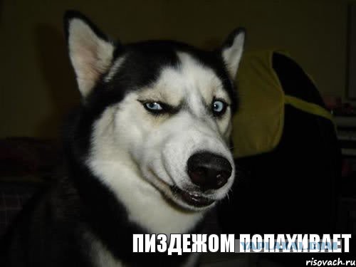 Рекордное число россиян пожелали эмигрировать в США