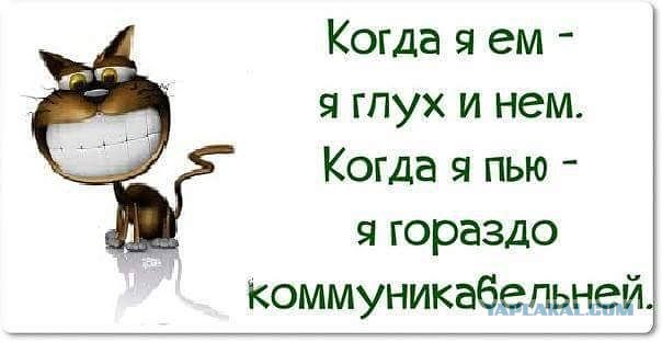 Пятничный алкотрэш и немного чернухи