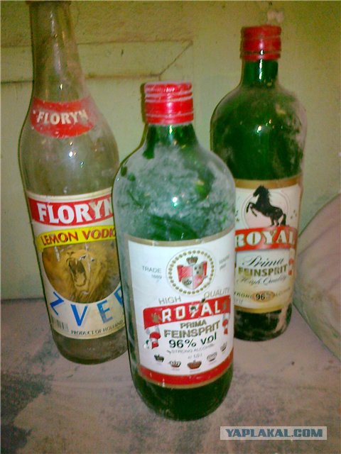 Капсула времени 18+