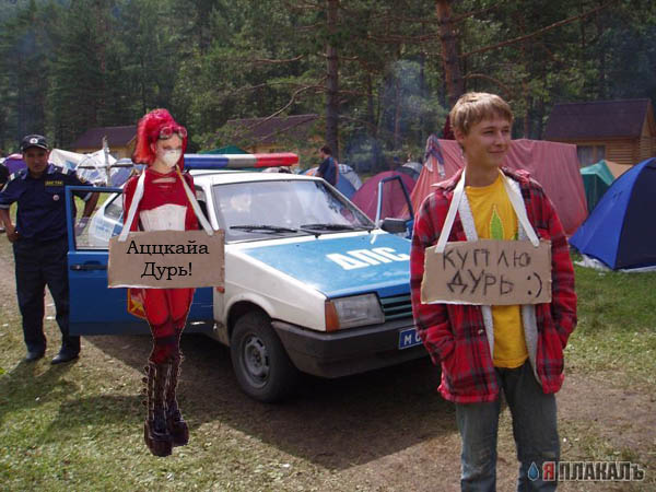 Фотожаба: Куплю дурь