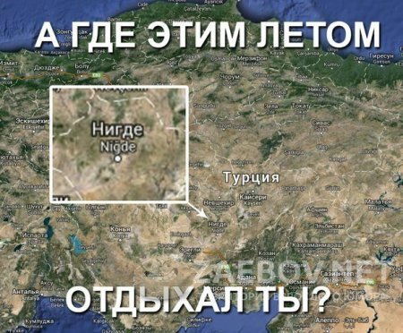 Смешные комментарии 14.08.2016