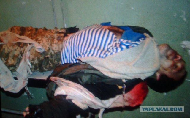 На Донбассе началась битва года