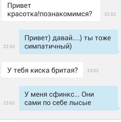 Смешные комментарии и высказывания из социальных сетей.