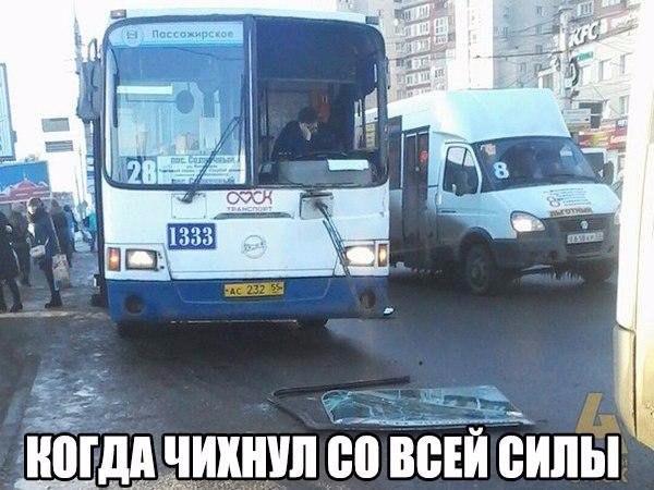 Подборка безудержного веселья