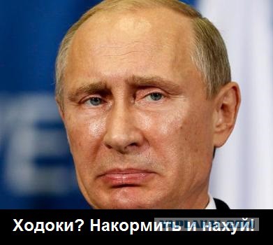 Едут из Омска к Путину в Москву