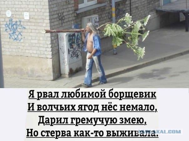 Смешные комментарии из социальных сетей 09.06.2018