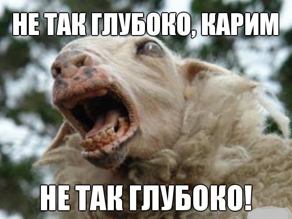 Во Владикавказе жених два раза уронил невесту во время кражи на видео