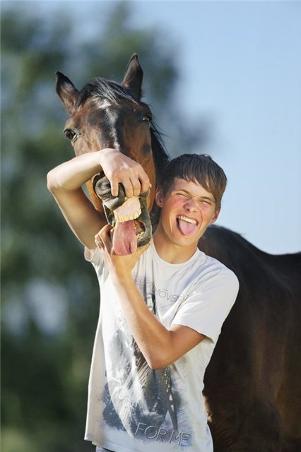 Самые смешные снимки животных за 2012 год