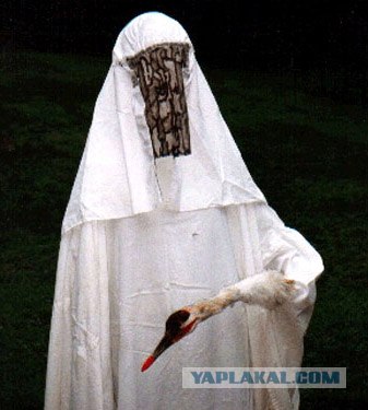 Угадайки