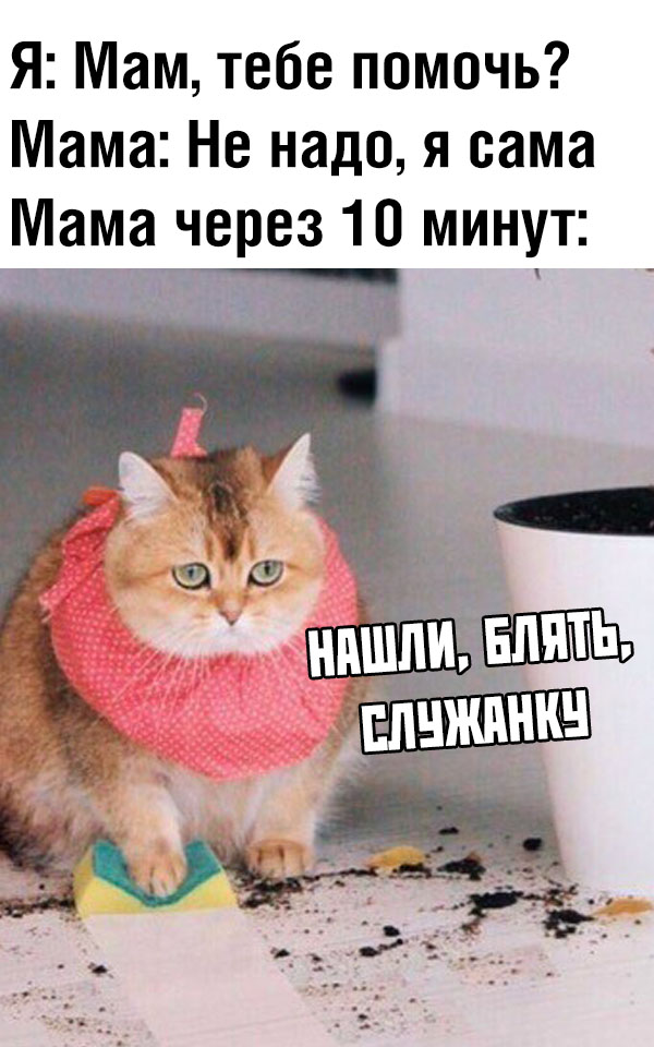 Немного картинок для настроения